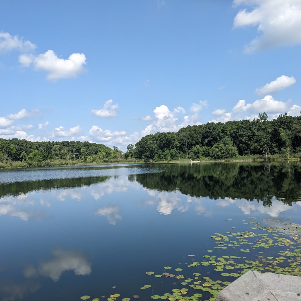 Huron Meadows Metropark 1